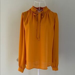 Active USA Mustard Long Sleeve Blouse